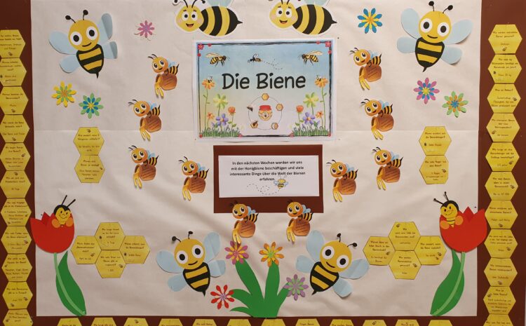  Bienenprojekt